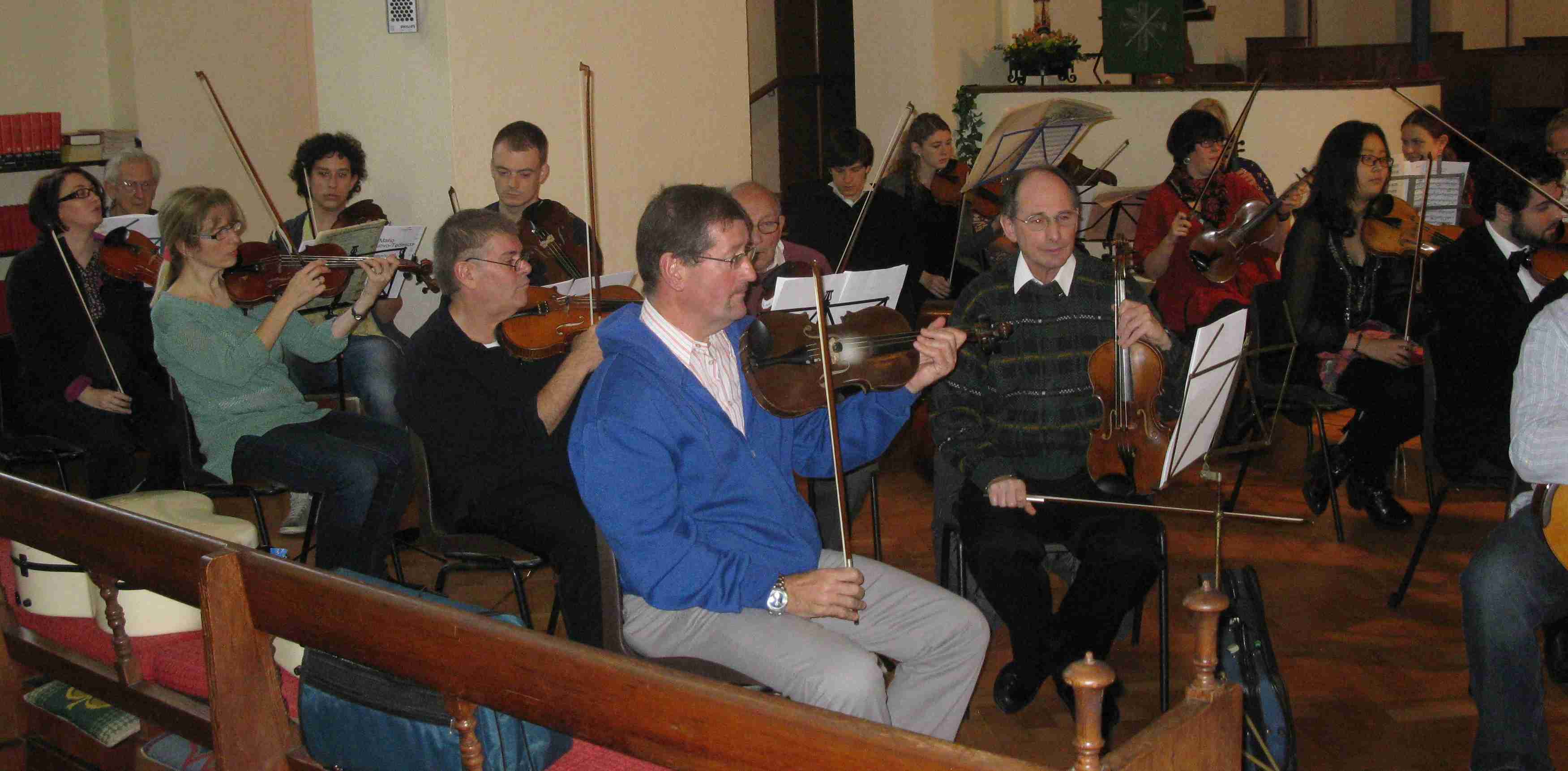 Violins